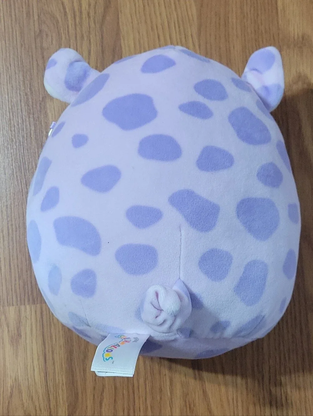 Squishmallows 8.5